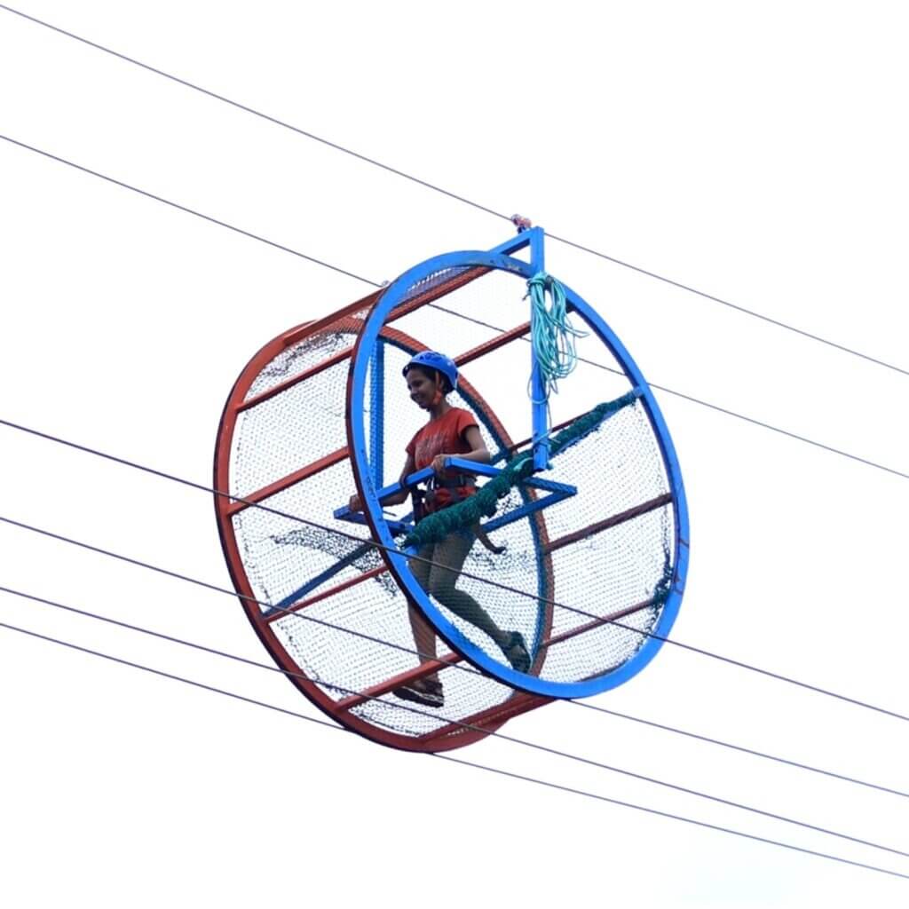 Sky Roller image