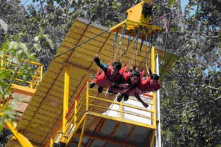 Flying Fox