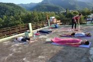 yoga-schools/rishikul-yogshala/rishikul-yogshala-01.jpg